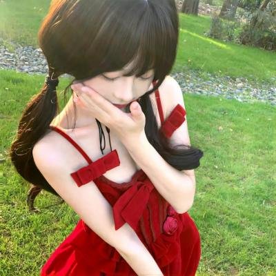 攻炮砖家